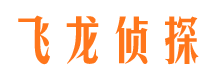 石峰侦探公司